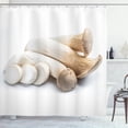thumbnail image 1 of Ambesonne Agriculture Shower Curtain, King Oyster Mushrooms, 69"Wx75"L, Warm Taupe Champagne Grey, 1 of 4