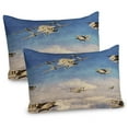 thumbnail image 1 of Ambesonne Airplane Pillow Sham 2 Pack, 3D Retro Biplanes, 36"x20", Blue Tan and Cream, 1 of 3