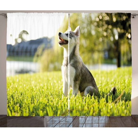 Ambesonne Alaskan Malamute Curtains 2 Panel Set, Friendly, 108" x 90", Multicolor