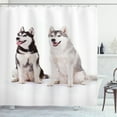thumbnail image 1 of Ambesonne Alaskan Malamute Shower Curtain, Furry Doggies, 69"Wx70"L, Black Cream White, 1 of 3