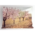 thumbnail image 1 of Ambesonne Almond Blossom Pillow Sham, Pastel Idyllic Motif, 26" X 20", Multicolor, 1 of 2