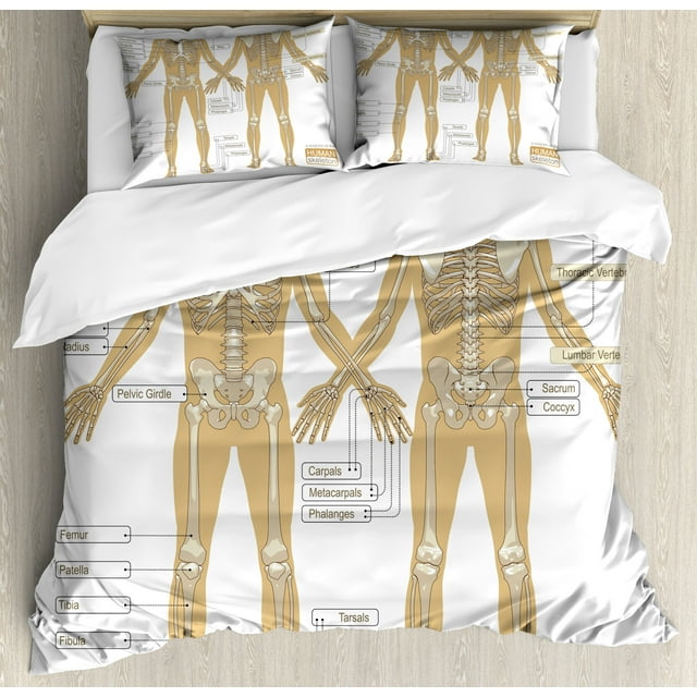 Ambesonne Anatomy Duvet Cover Set, Human Skeleton System, Queen, White Tan