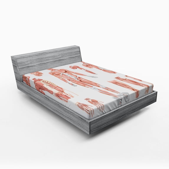 Ambesonne Anatomy Fitted Sheet, Biology Human Body Print, Full Size, Coral and Grey