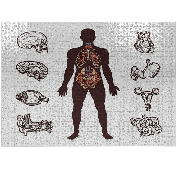 Ambesonne Anatomy Jigsaw Puzzle Durable Cardboard, Organs Infographic Image, 1000 pcs, Brown and White
