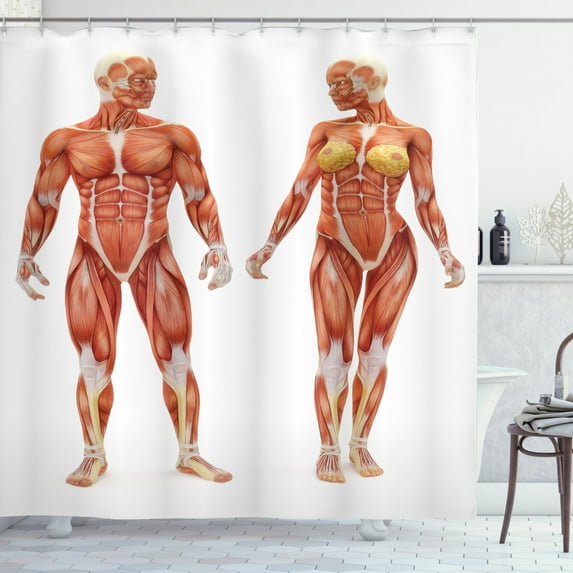 Ambesonne Anatomy Shower Curtain, Male Human Body, 69"Wx75"L, Coral