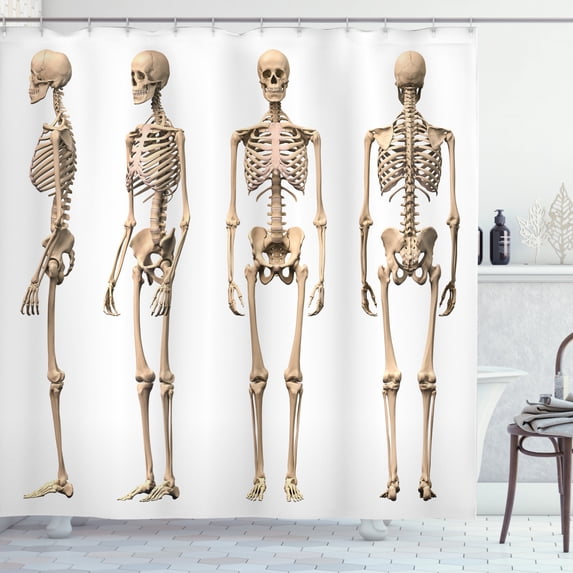 Ambesonne Anatomy Shower Curtain, Mankind Skeleton Bones Art, 69"Wx70"L, Cream