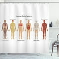 thumbnail image 1 of Ambesonne Anatomy Shower Curtain, Skeleton System, 69"Wx84"L, Multicolor, 1 of 3