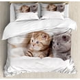 thumbnail image 1 of Ambesonne Animal Duvet Cover Sets, Scottish Fold Kittens, 2-King, White and Grey, 1 of 7