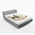 thumbnail image 1 of Ambesonne Animal Fitted Sheet, Grumpy Angry Cat Love, Queen Size, Brown and Beige, 1 of 3