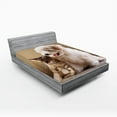 thumbnail image 1 of Ambesonne Animal Fitted Sheet, Kitten and Dog Friends, Full Size, Sand Brown White, 1 of 2