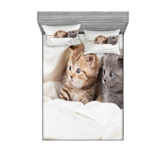 Ambesonne Animal Fitted Sheet & Pillow Sham Set, Scottish Fold Kittens, Queen, White and Grey
