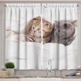 thumbnail image 1 of Ambesonne Animal Kitchen Curtains, Scottish Fold Kittens, 55"x39", White and Grey, 1 of 3