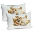 thumbnail image 1 of Ambesonne Animal Pillow Sham 2 Pack, Cat Playing with Feather, 30"x20", Apricot Cream White, 1 of 3