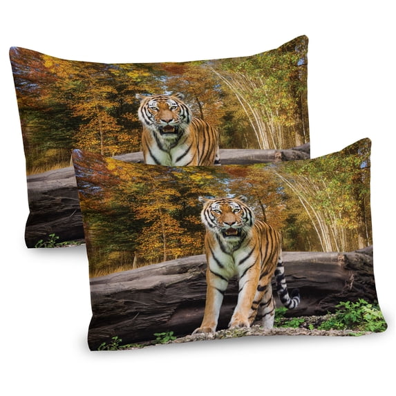 Ambesonne Animal Pillow Sham 2 Pack, Tiger in Forest, 30"x20", Orange and Brown