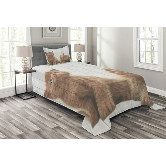 Ambesonne Animal Quilted Bedspread Set 2 Pcs, Kitten, Twin Size, Caramel White