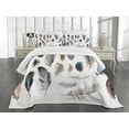 thumbnail image 1 of Ambesonne Animal Quilted Bedspread Set 3 Pcs, Bird Body Feathers Set, Queen Size, Multicolor, 1 of 3