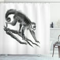 thumbnail image 1 of Ambesonne Animal Shower Curtain, Exotic Jungle Monkey, 69"Wx84"L, Dimgrey, 1 of 3