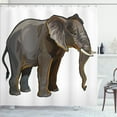 thumbnail image 1 of Ambesonne Animal Shower Curtain, Exotic Savannah Creature, 69"Wx84"L, Grey, 1 of 3