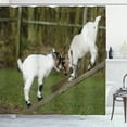 thumbnail image 1 of Ambesonne Animal Shower Curtain, Farm Life with Goats, 69"Wx84"L, White Green, 1 of 3