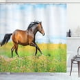 thumbnail image 1 of Ambesonne Animal Shower Curtain, Horse Rural Flowers, 69"Wx84"L, Green Brown Pale Blue, 1 of 3