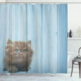 thumbnail image 1 of Ambesonne Animal Shower Curtain, Vivid Rustic Kitty, 69"Wx75"L, Caramel Blue, 1 of 5