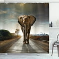 thumbnail image 1 of Ambesonne Animal Shower Curtain, Walking down a Road, 69"Wx84"L, Multicolor, 1 of 2