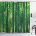 thumbnail image 1 of Ambesonne Asian Themed Shower Curtain, Green Wild Exotics, 69"Wx75"L, Green, 1 of 5