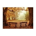 thumbnail image 1 of Ambesonne Autumn Jigsaw Puzzle, Dramatic Trees and Benches, Heirloom-Quality Fun Activity for Family Durable Cardboard, 1000 pcs, Multicolor, 1 of 2