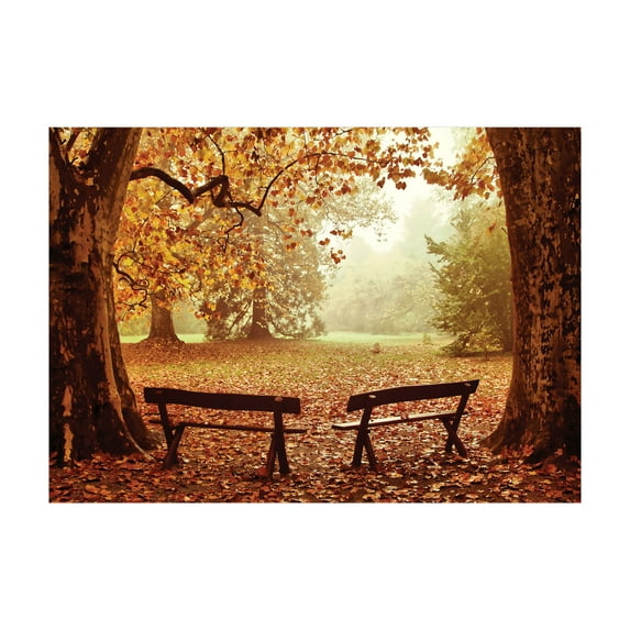 Ambesonne Autumn Jigsaw Puzzle, Dramatic Trees and Benches, Heirloom-Quality Fun Activity for Family Durable Cardboard, 1000 pcs, Multicolor