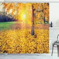 thumbnail image 1 of Ambesonne Autumn Shower Curtain, Evening Natural Park, 69"Wx70"L, Yellow Green, 1 of 5