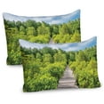 thumbnail image 1 of Ambesonne Beach Pathway Pillow Sham 2 Pack, Green Trees Blue Sky, 36"x20", Green Taupe, 1 of 3