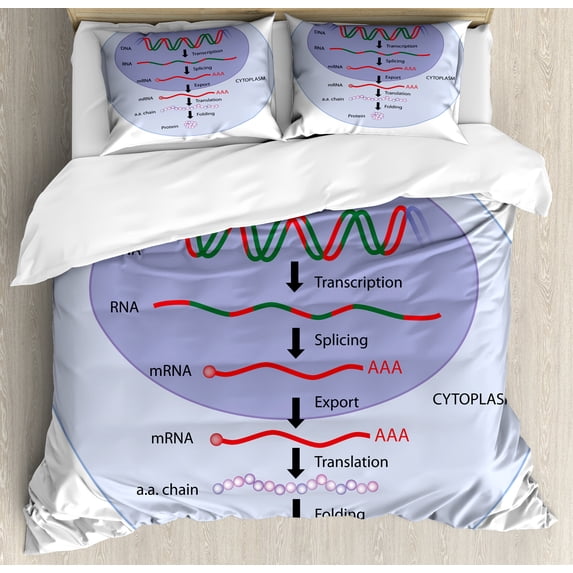 Ambesonne Biology Duvet Cover Sets, Genes Translation Chart, 2-Queen, Pale Ceil Blue Ceil Blue