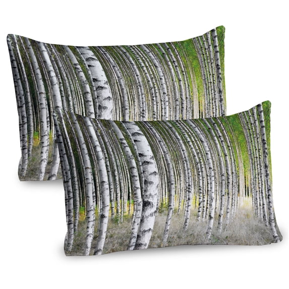 Ambesonne Birch Tree Pillow Sham 2 Pack, Late Summer Foliage, 26"x20", Green Pale Grey Black
