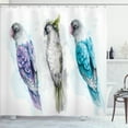 thumbnail image 1 of Ambesonne Birds Shower Curtain, Colorful Tropical Parrots, 69"Wx70"L, Turquoise Purple Grey, 1 of 3