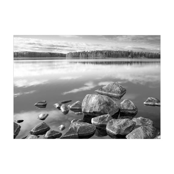 Ambesonne Black and White Jigsaw Puzzle, Rock in Lake Shore, Heirloom-Quality Fun Activity for Family Durable Cardboard, 1000 pcs, Black White