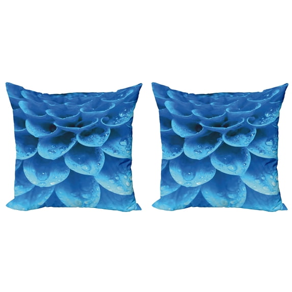 Ambesonne Blue Throw Pillow Cover 2 Pack, Gerbera Abstract Petals, 24", Blue Pale Blue