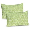 thumbnail image 1 of Ambesonne Botanical Pillow Sham 2 Pack, Abstract Floral Details, 30"x20", Apple Green Pale Orange, 1 of 3