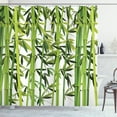 thumbnail image 1 of Ambesonne Botanical Shower Curtain, Green Plants Illustration, 69"Wx70"L, White and Green, 1 of 3