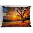 thumbnail image 1 of Ambesonne Brown Pillow Sham, Autumn Fall Tree Leaves, 26" X 20", Brown, 1 of 2