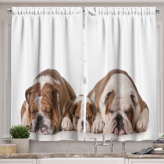 Ambesonne Bulldog Kitchen Curtains, Image of 3 Generations Dogs, 55"x45", Umber and White