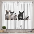 thumbnail image 1 of Ambesonne Bulldog Kitchen Curtains, Young Doggies Photo, 55"x39", Black White Beige, 1 of 3