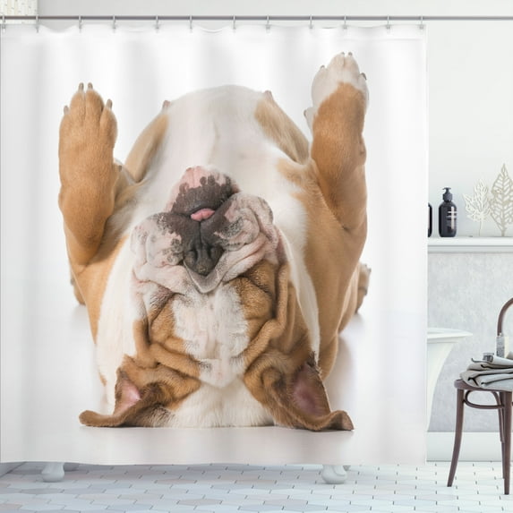 Ambesonne Bulldog Shower Curtain, Animal Laying on His Back, 69"Wx70"L, Pale Brown and White