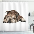 thumbnail image 1 of Ambesonne Bulldog Shower Curtain, Single Hand Drawn Bulldog, 69"Wx70"L, Charcoal Grey and White, 1 of 5