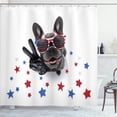 thumbnail image 1 of Ambesonne Bulldog Shower Curtain, Top View Funny Dog Posing, 69"Wx75"L, Dimgray Ruby Blue, 1 of 3