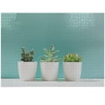 thumbnail image 1 of Ambesonne Cactus Jigsaw Puzzle Durable Cardboard, Botanical Desert Floral Art, 1000 pcs, Pistachio Green Pale Teal, 1 of 1