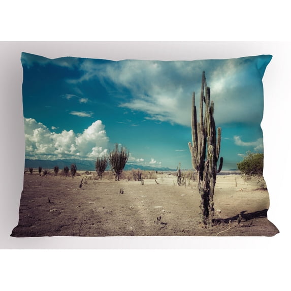 Ambesonne Cactus Pillow Sham, Sunny Hot Desert Plant, 26" X 20", Multicolor