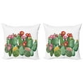 thumbnail image 1 of Ambesonne Cactus Throw Pillow Cover 2 Pack, Saguaro Tropical Garden, 18", Multicolor, 1 of 7