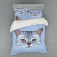 thumbnail image 1 of Ambesonne Cat Bedding Set 4 Pcs, Scottish Hipster Kitty Pet, Queen, Pale Blue Pale Grey, 1 of 2
