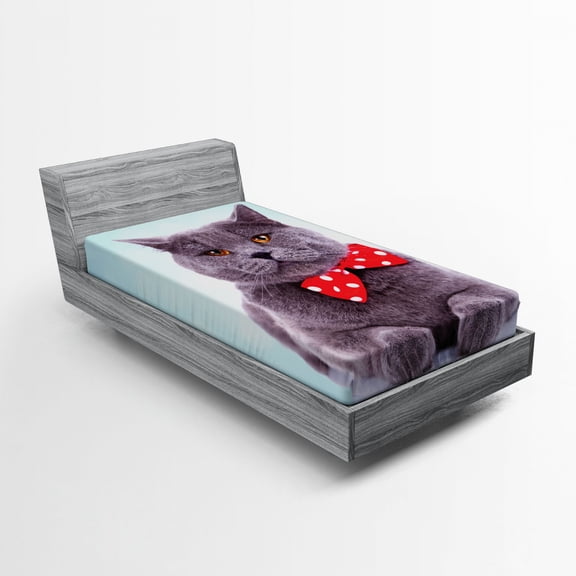 Ambesonne Cat Fitted Sheet, Grey Scottish Fold Theme, Twin Size, Pale Blue Purpleblue