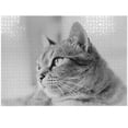 thumbnail image 1 of Ambesonne Cat Jigsaw Puzzle Durable Cardboard, Black and White Effect Kitten, 1000 pcs, Pale Grey, 1 of 5